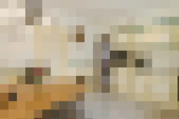 Veerstraat 40 Erp thumbnail 16