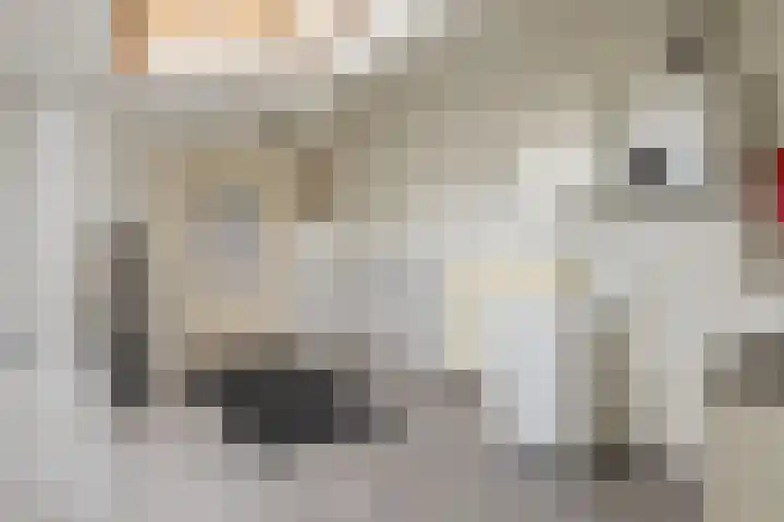 Veerstraat 40 Erp thumbnail 21