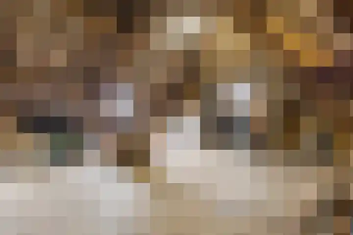 Veerstraat 40 Erp thumbnail 24