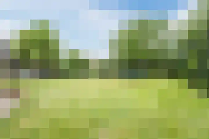 Veerstraat 40 Erp thumbnail 45