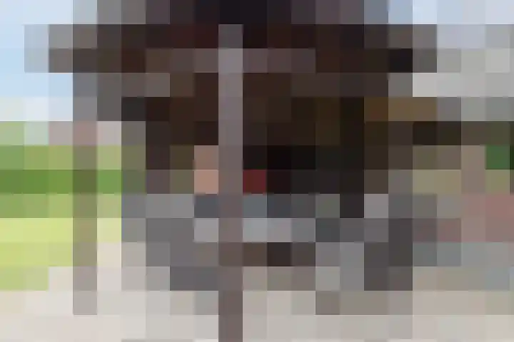 Veerstraat 40 Erp thumbnail 51