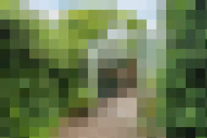 Veerstraat 40 Erp thumbnail 54