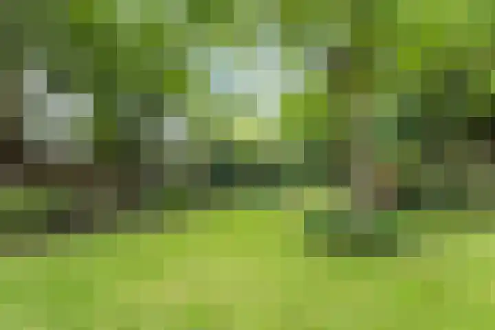 Veerstraat 40 Erp thumbnail 55