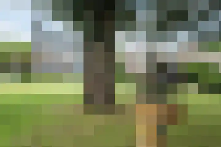 Veerstraat 40 Erp thumbnail 58