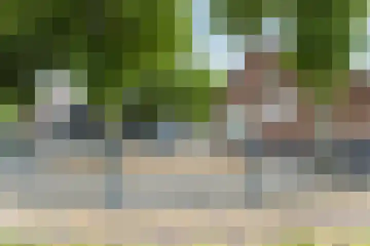 Veerstraat 40 Erp thumbnail 60