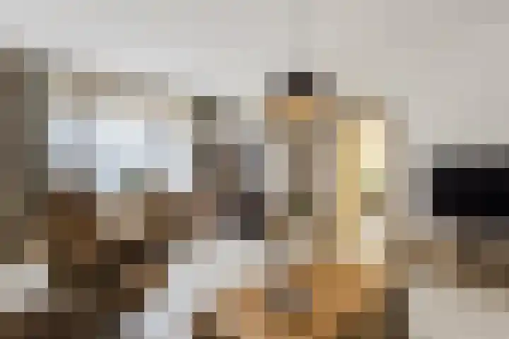 Veerstraat 40 Erp thumbnail 7