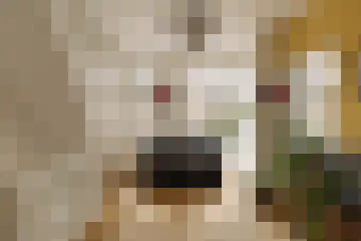 Veerstraat 59 1 Amsterdam thumbnail 13