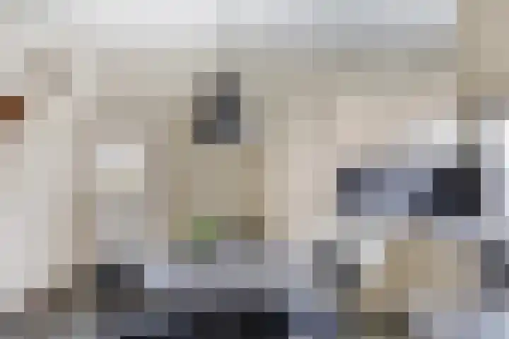 Veerstraat 7 Heerde thumbnail 10