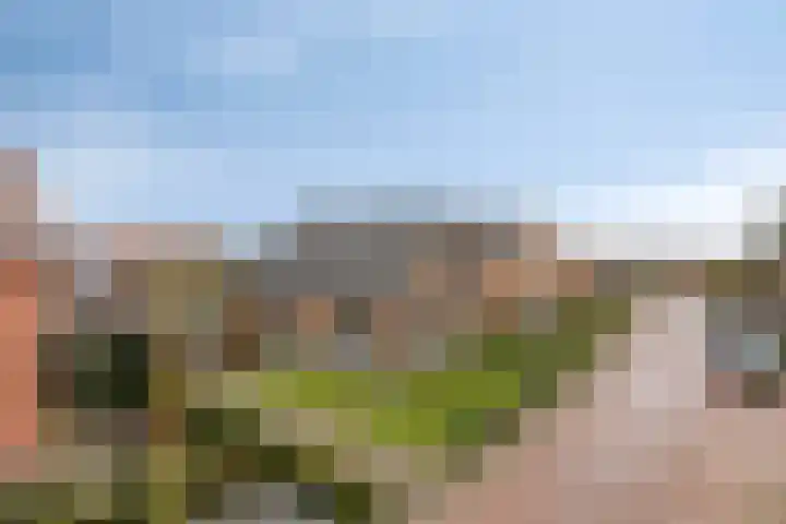 Veerstraat 7 Heerde thumbnail 32
