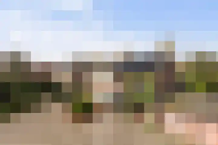 Veerweg 10 Numansdorp thumbnail 17