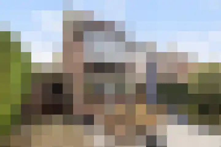 Veerweg 10 Numansdorp thumbnail 39