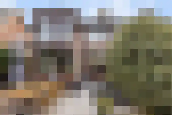 Veerweg 10 Numansdorp thumbnail 40
