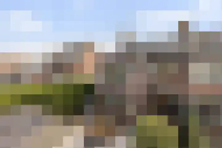 Veerweg 10 Numansdorp thumbnail 41