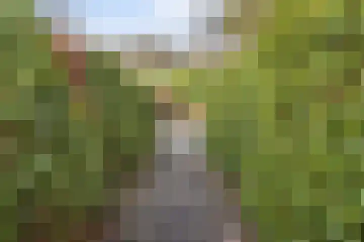 Veerweg 10 Numansdorp thumbnail 45