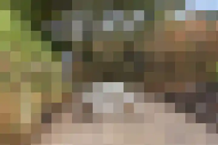 Veerweg 10 Numansdorp thumbnail 47