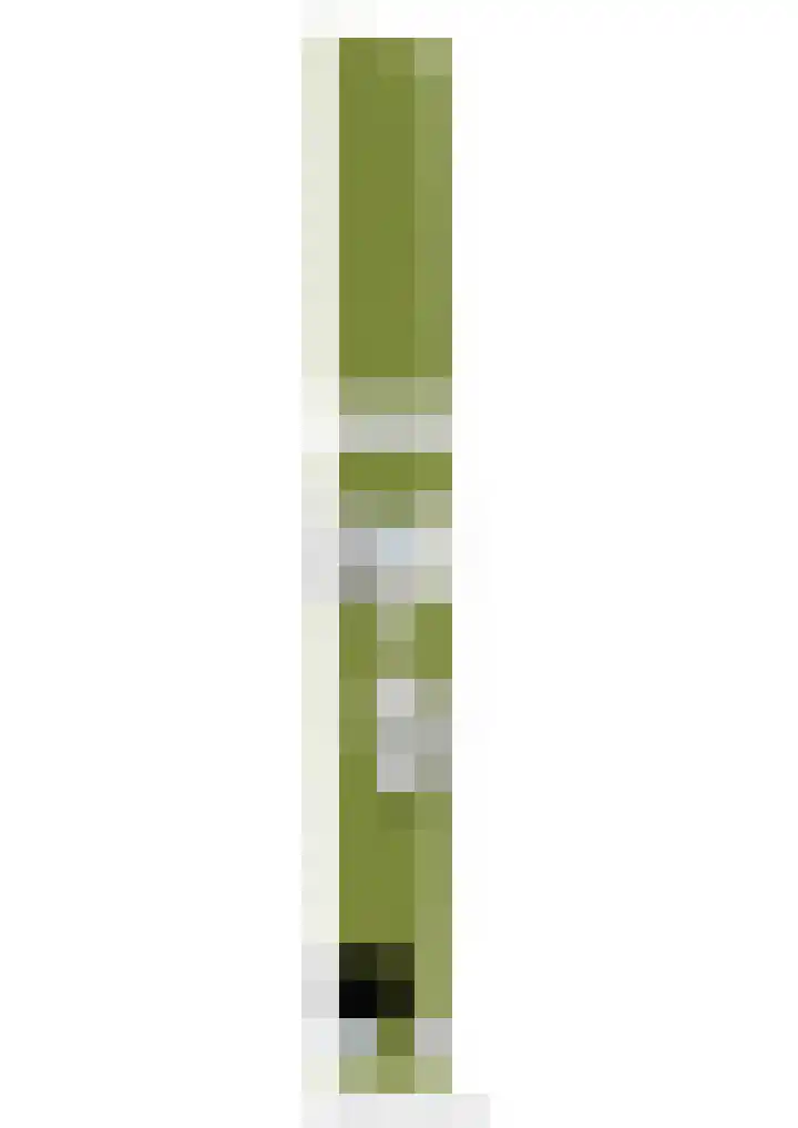 Veerweg 10 Numansdorp thumbnail 66