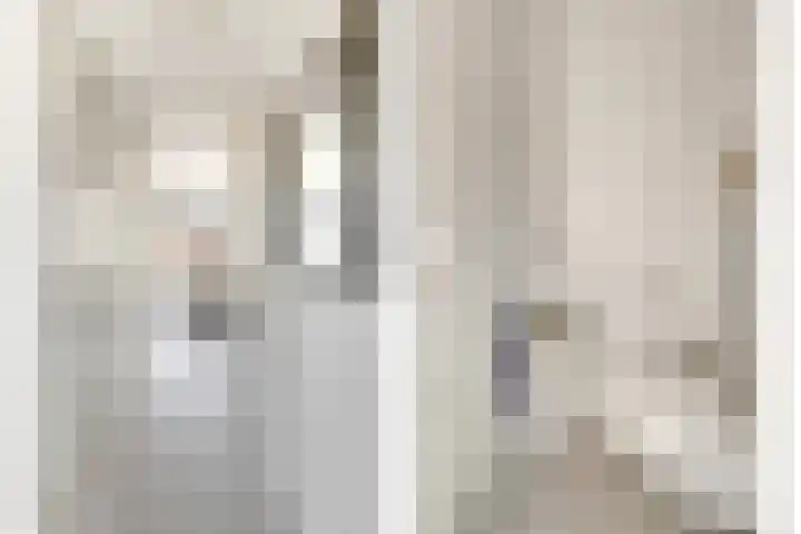 Veerweg 70 Brielle thumbnail 8