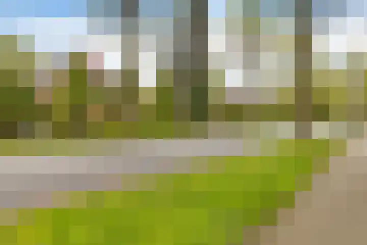 Veestraat 14 Made thumbnail 12