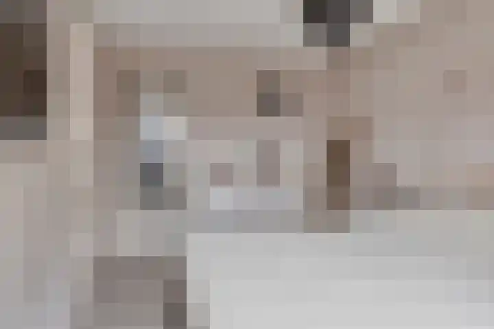 Veestraat 14 Made thumbnail 18