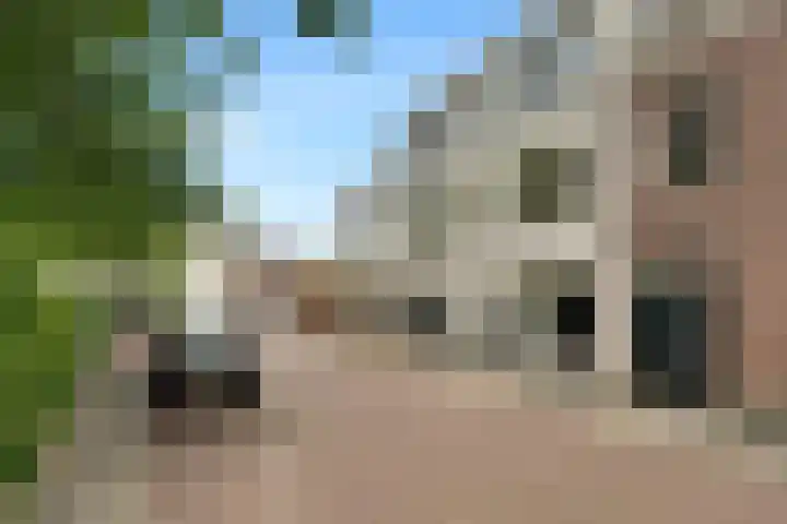 Veestraat 14 Made thumbnail 20