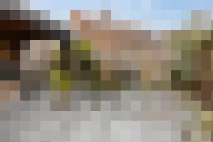 Veestraat 14 Made thumbnail 30