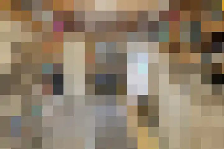 Veestraat 14 Made thumbnail 33