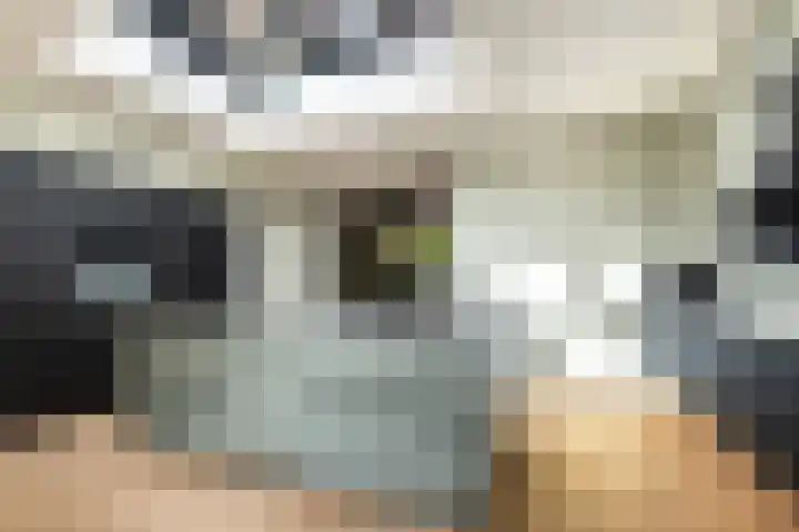 Veeweg 14 Landgraaf thumbnail 15
