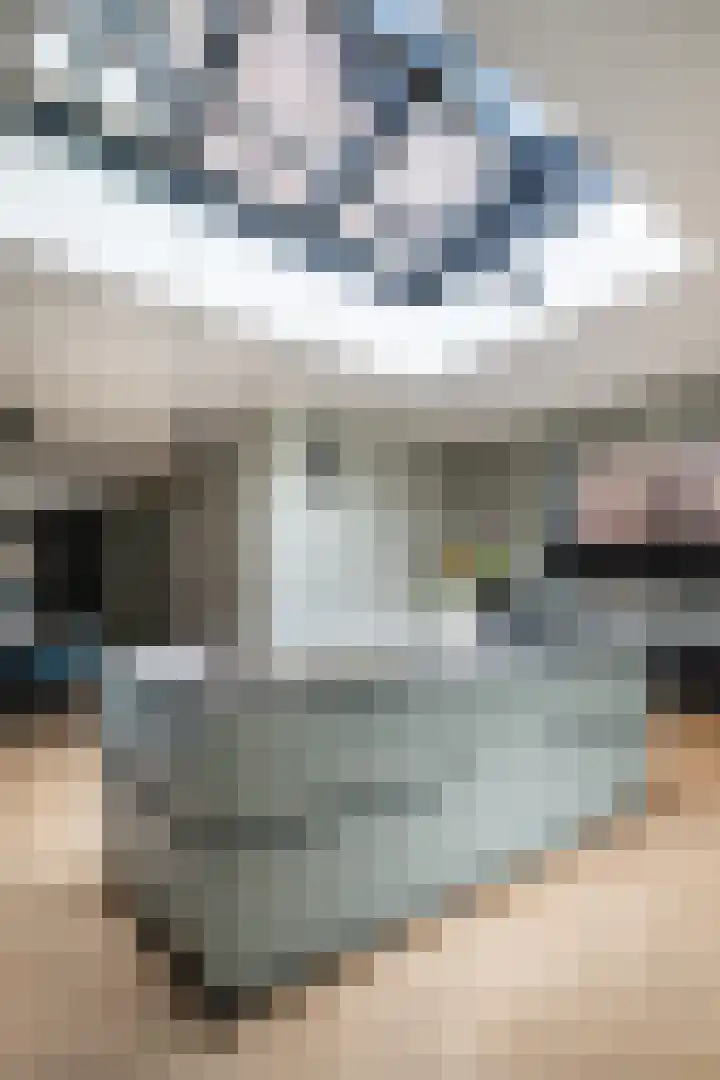Veeweg 14 Landgraaf thumbnail 16