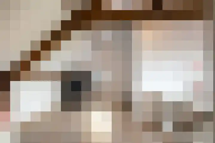 Veeweg 14 Landgraaf thumbnail 26