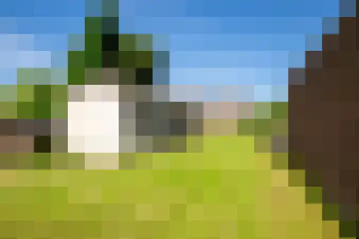 Veeweg 14 Landgraaf thumbnail 31