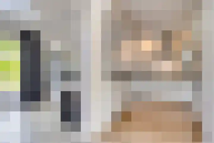 Vegerinkskamp 4 Bathmen thumbnail 11