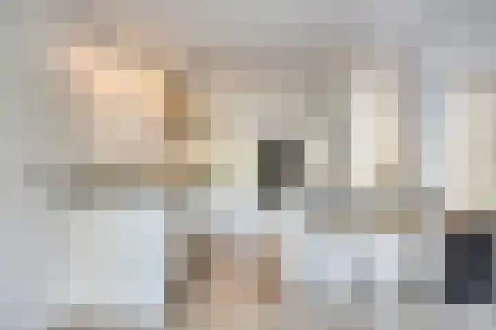 Vegerinkskamp 4 Bathmen thumbnail 12