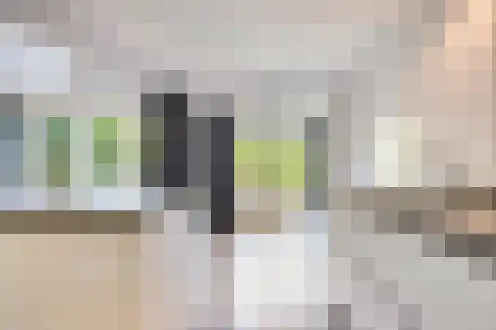 Vegerinkskamp 4 Bathmen thumbnail 13