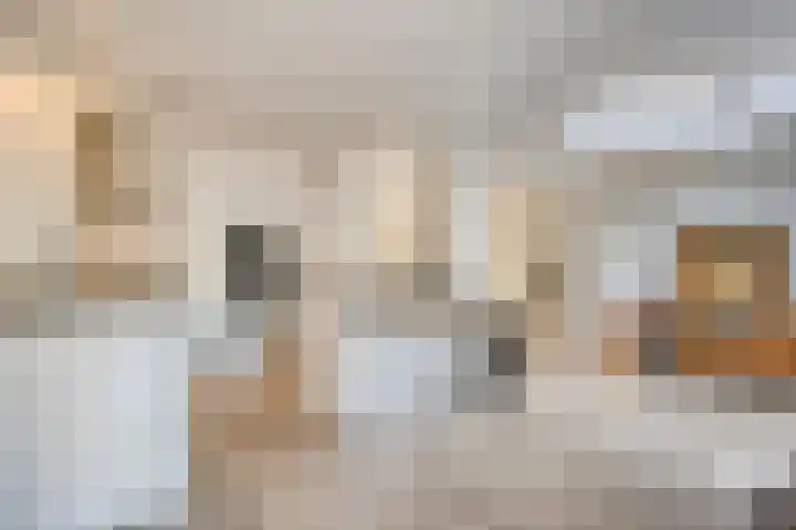 Vegerinkskamp 4 Bathmen thumbnail 14