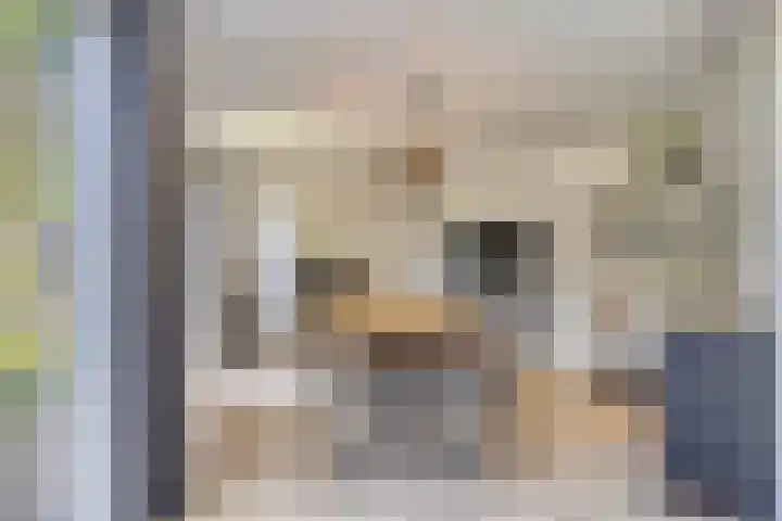 Vegerinkskamp 4 Bathmen thumbnail 17