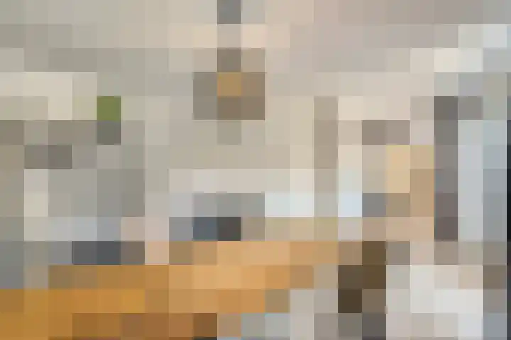 Vegerinkskamp 4 Bathmen thumbnail 18