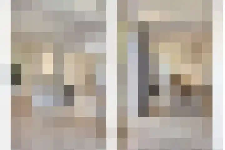 Vegerinkskamp 4 Bathmen thumbnail 19