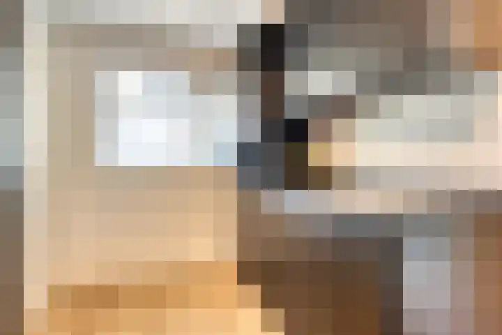 Vegerinkskamp 4 Bathmen thumbnail 20