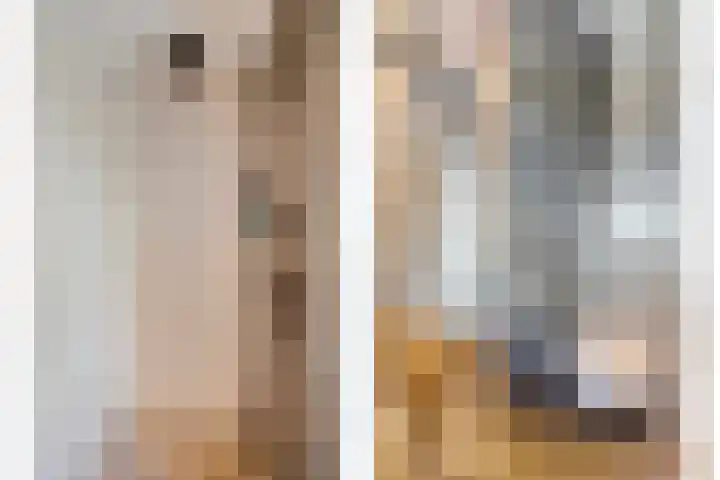 Vegerinkskamp 4 Bathmen thumbnail 33