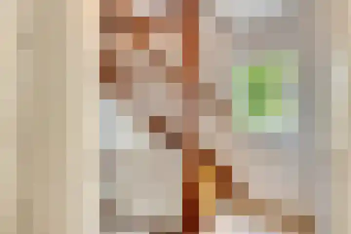 Vegerinkskamp 4 Bathmen thumbnail 34