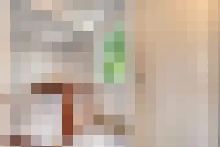 Vegerinkskamp 4 Bathmen thumbnail 35