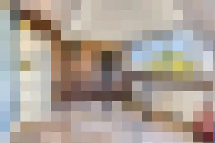 Vegerinkskamp 4 Bathmen thumbnail 36