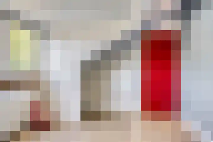 Vegerinkskamp 4 Bathmen thumbnail 37