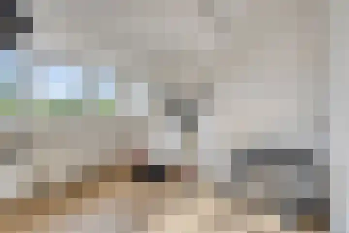 Vegerinkskamp 4 Bathmen thumbnail 38