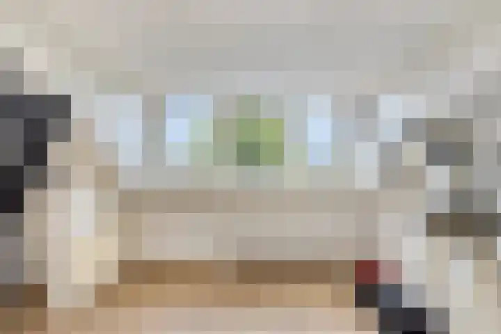 Vegerinkskamp 4 Bathmen thumbnail 39