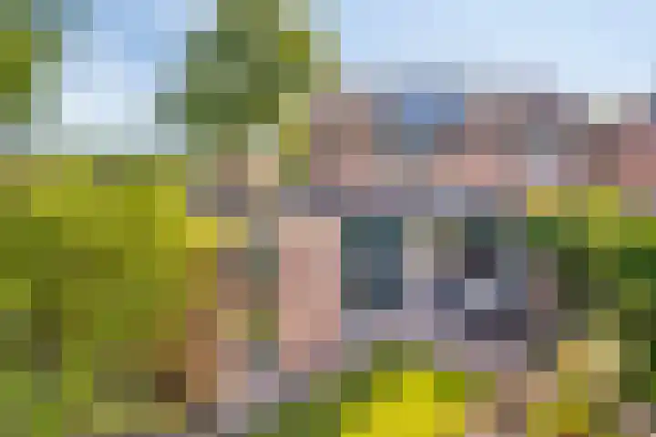 Vegerinkskamp 4 Bathmen thumbnail 41
