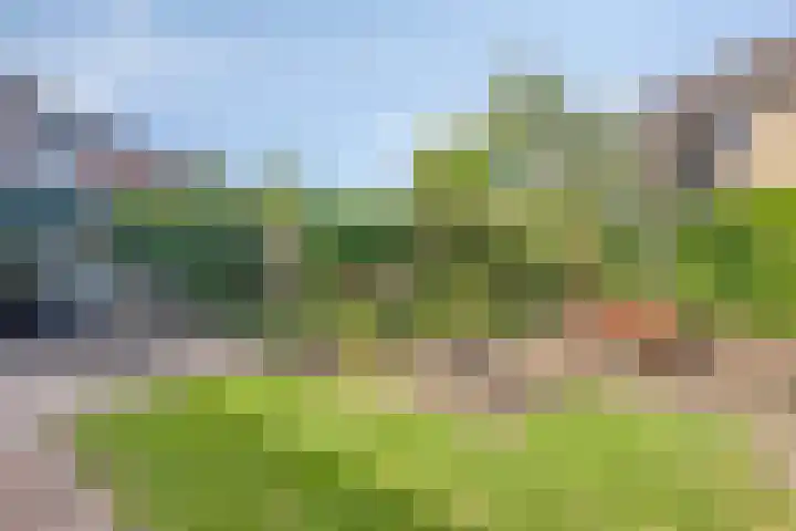 Vegerinkskamp 4 Bathmen thumbnail 42