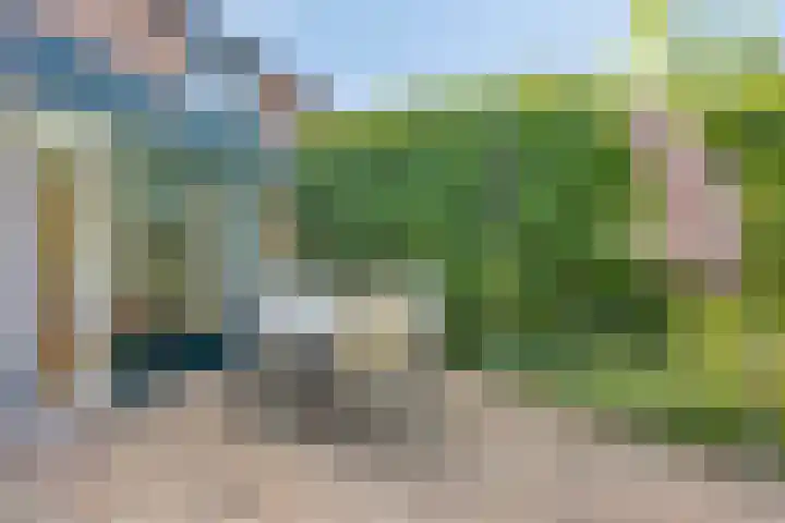 Vegerinkskamp 4 Bathmen thumbnail 43