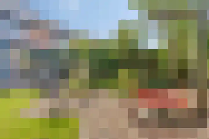 Vegerinkskamp 4 Bathmen thumbnail 44