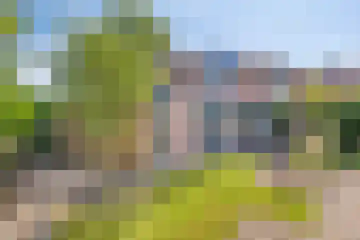 Vegerinkskamp 4 Bathmen thumbnail 45